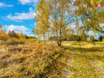 Prodej zahrady, Krsy, 649 m2