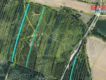 Prodej lesa, Nová Hradečná, 28654 m2