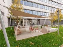 Pronájem kanceláře, Praha - Smíchov, Moulíkova, 323 m2