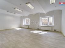 Pronájem bytu 3+kk, Plzeň - Jižní Předměstí, Palackého, 167 m2