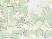 Dražba lesa, Český Dub, 1194 m2