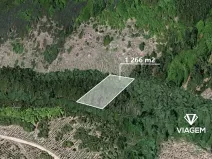 Prodej podílu lesa, Řendějov, 844 m2