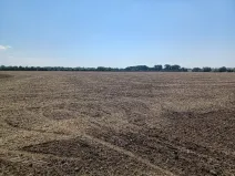 Prodej pozemku pro bydlení, Horka nad Moravou, 43150 m2