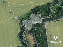 Prodej lesa, Praha, 4675 m2