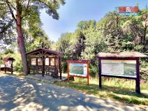 Prodej pozemku pro bydlení, Podhradí, 3377 m2