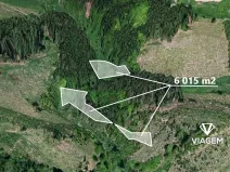 Prodej lesa, Zbizuby, 6015 m2