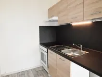 Pronájem bytu 2+kk, Most, Josefa Ševčíka, 40 m2