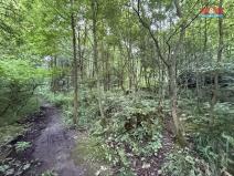 Prodej lesa, Tábor - Horky, 5139 m2