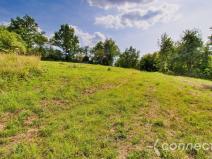 Prodej pozemku, Český Šternberk, 2000 m2