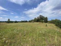 Prodej pozemku, Rapšach - Nová Ves u Klikova, 6986 m2
