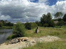 Prodej louky, Týn nad Vltavou, Hněvkovice na pravém břehu Vlt., 1648 m2