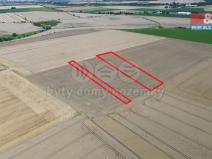 Prodej pole, Kouřim, 5354 m2