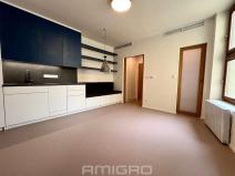 Pronájem bytu 1+kk, Brno, Peroutková, 25 m2