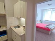Pronájem bytu 1+kk, Zlín, Svat. Čecha, 30 m2