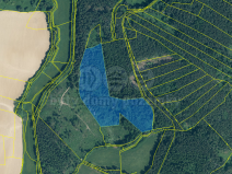 Prodej lesa, Sušice - Chmelná, 33931 m2
