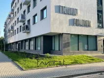 Pronájem bytu 2+kk, Ostrava, Pavlovova, 45 m2