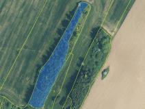 Prodej podílu lesa, Králova Lhota, 846 m2