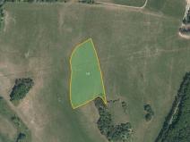 Prodej louky, Morašice, 7883 m2