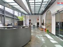 Pronájem kanceláře, Praha - Nové Město, Krakovská, 412 m2