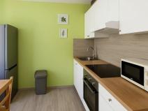 Pronájem bytu 1+1, Chomutov, Kyjická, 33 m2