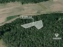 Prodej podílu lesa, Hrdlív, 807 m2