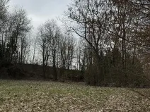 Prodej pozemku, Spálov, 12312 m2