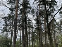 Prodej pozemku, Hradiště, 9237 m2