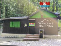 Pronájem restaurace, Orlová - Lutyně, Modřínová, 330 m2