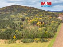 Prodej lesa, Ježovy - Trnčí, 39171 m2