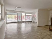 Pronájem kanceláře, Litvínovice, 148 m2