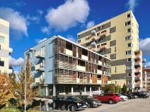 Pronájem bytu 1+kk, Jihlava, 51 m2