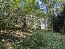 Prodej pozemku, Lánov - Horní Lánov, 1080 m2