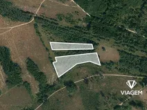 Prodej lesa, Dačice, 13651 m2