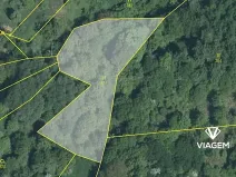 Prodej lesa, Nová Dědina, 1811 m2