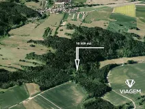 Prodej lesa, Bochovice, 10509 m2