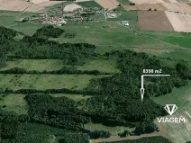 Prodej lesa, Borkovice, 8398 m2