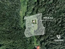 Prodej lesa, Všelibice, 4954 m2