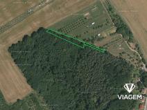 Prodej podílu lesa, Březolupy, 446 m2