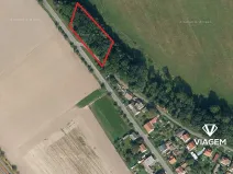 Prodej lesa, Zámrsk, 2073 m2