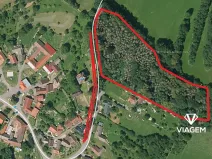 Prodej podílu pole, Prosetín, 3883 m2