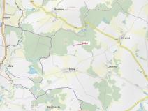 Dražba lesa, Žirovnice, 2931 m2