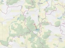 Dražba lesa, Kuřimany, 11584 m2