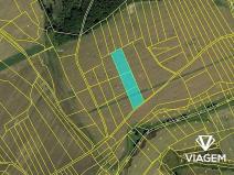 Prodej podílu pole, Vysočany, 1946 m2