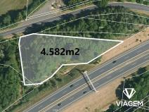 Prodej lesa, Nové Sedlo, 4639 m2