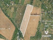 Prodej podílu pole, Třebenice, 5494 m2