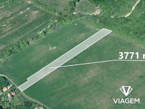 Prodej podílu pole, Javorník, 471 m2