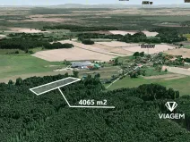 Prodej podílu lesa, Drahov, 2032 m2