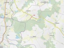 Dražba lesa, Žirovnice, 288 m2