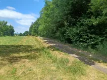 Dražba pozemku, Zahrádky, 992 m2