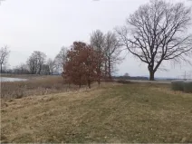 Dražba louky, Dříteň, 1815 m2